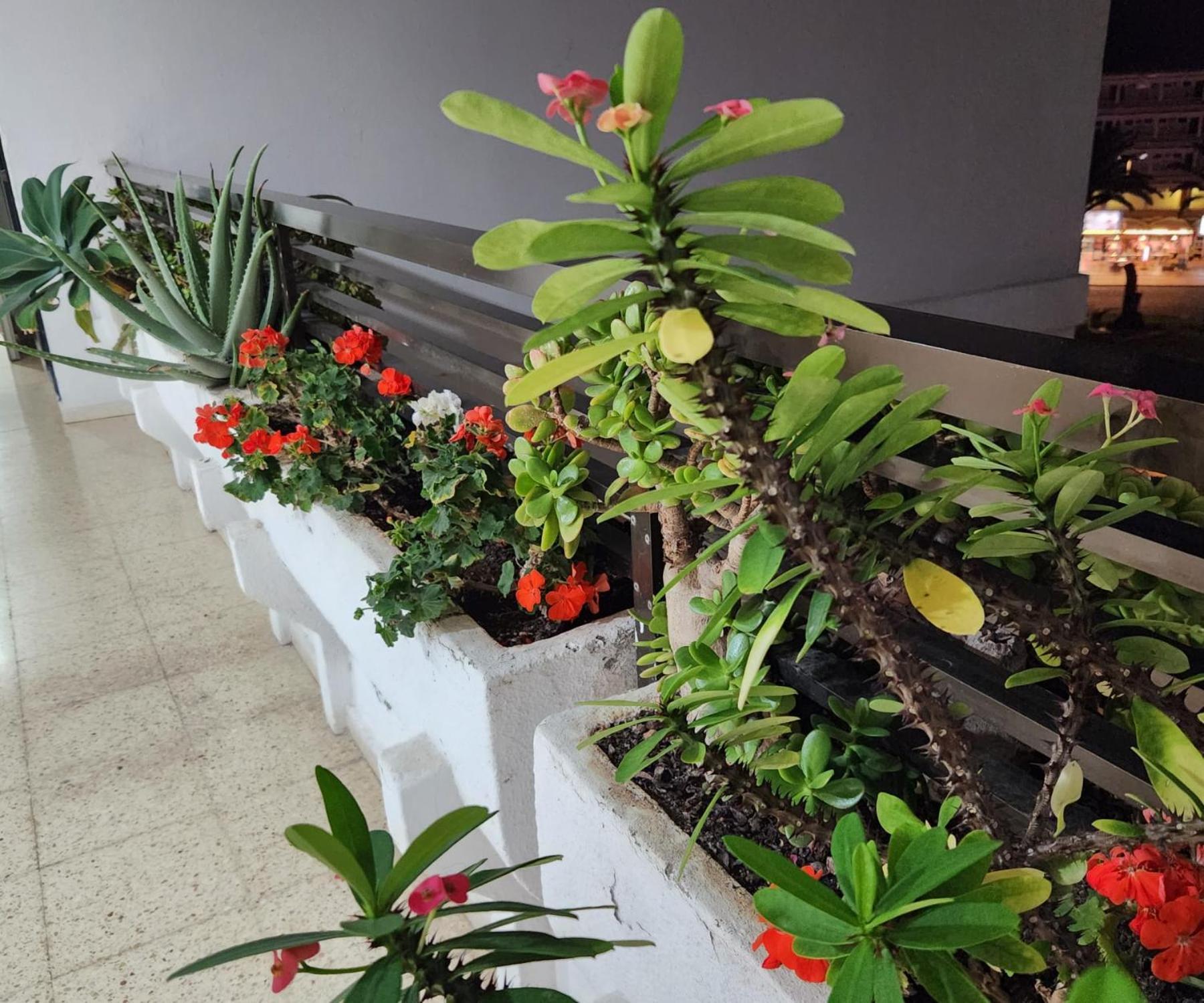 Appartement Yumbo Iguazu Luxury *